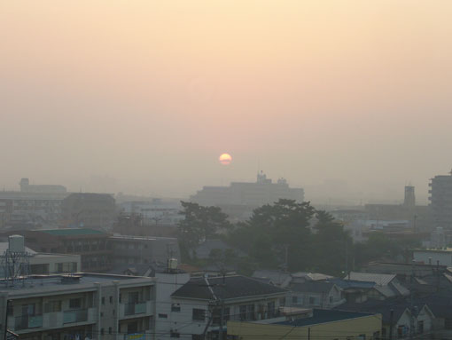 朝陽の中で 朝陽の中で