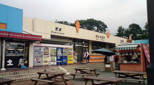 栃木出張