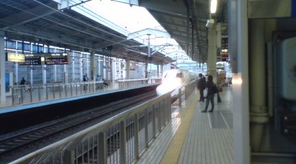かものはし。最近この型ばかり。 かものはし。最近この型ばかり。