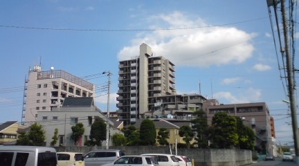 今年は例年より〜 今年は例年より〜