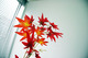 ../2010030300/1.shtml