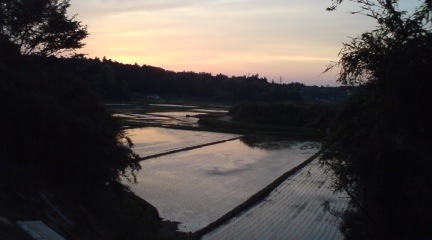 再び募集 再び募集