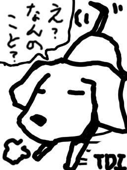 はて、今日は…? はて、今日は…?